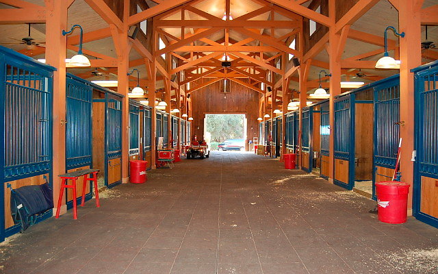 DSC 0157