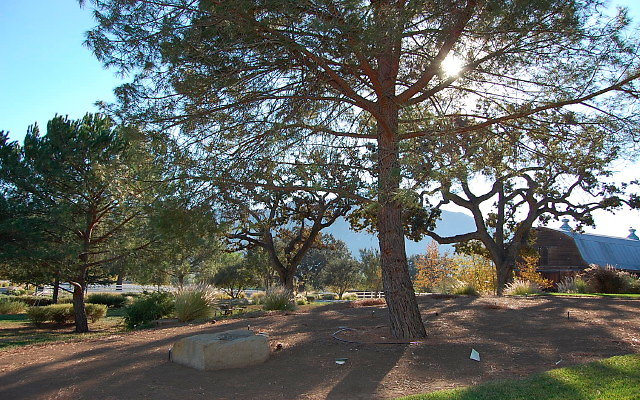 DSC 0176
