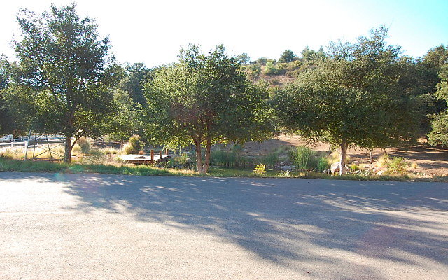 DSC 0201