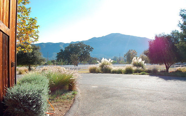 DSC 0200