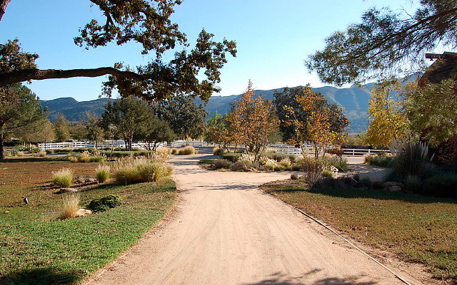 DSC 0131