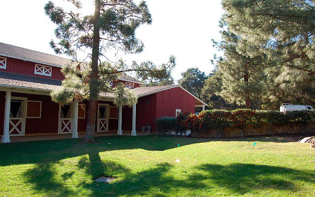 DSC 0182