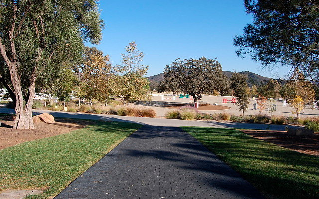 DSC 0174