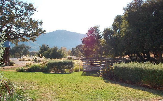 DSC 0191
