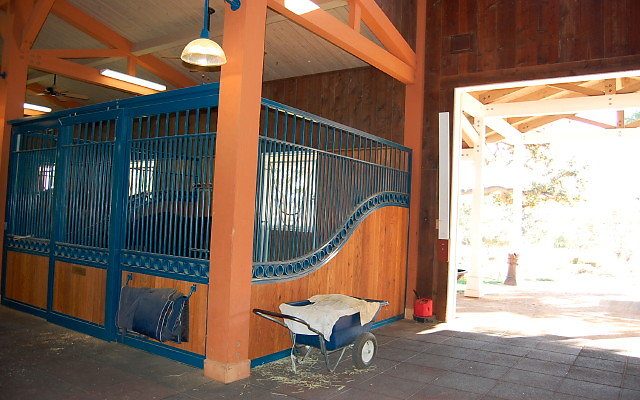 DSC 0162