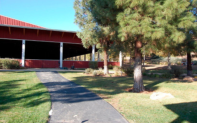 DSC 0185