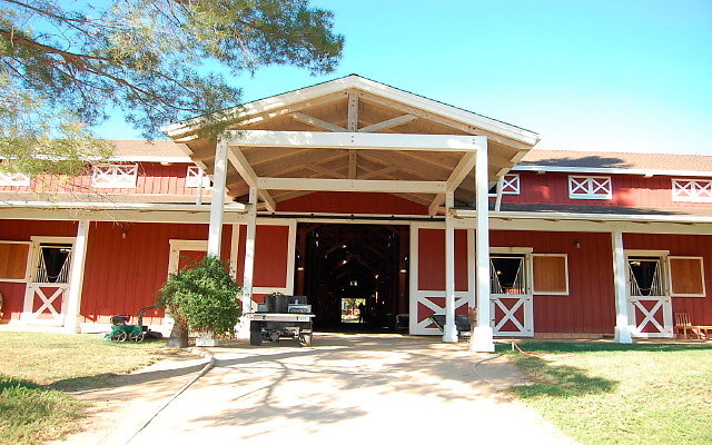 DSC 0124