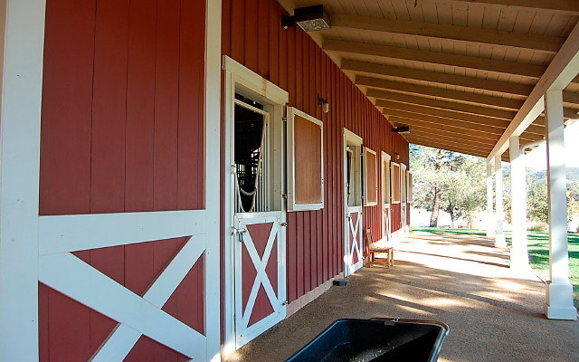 DSC 0137
