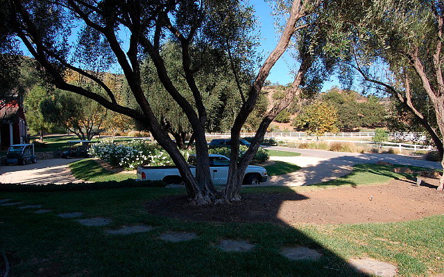DSC 0173