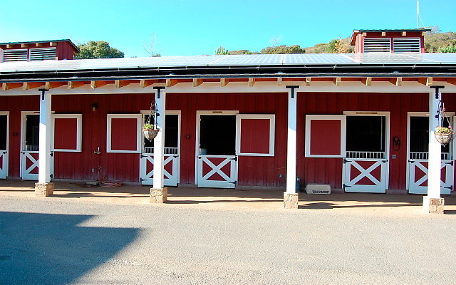 DSC 0225