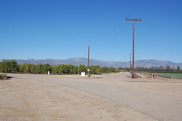 DSC 0050