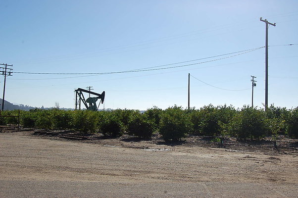 DSC 0047