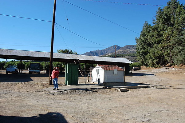 DSC 0080