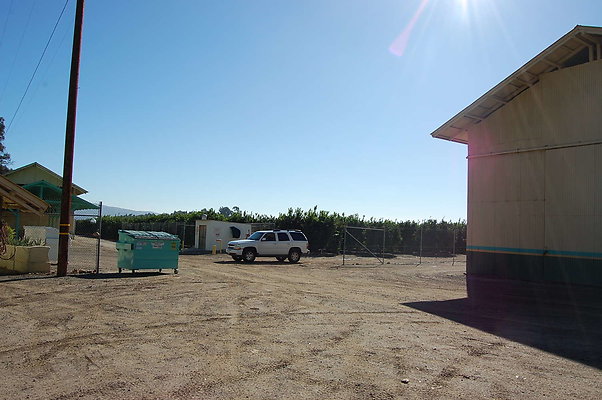 DSC 0029