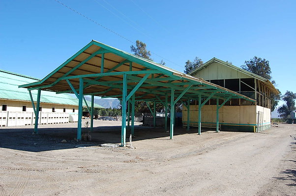 DSC 0025