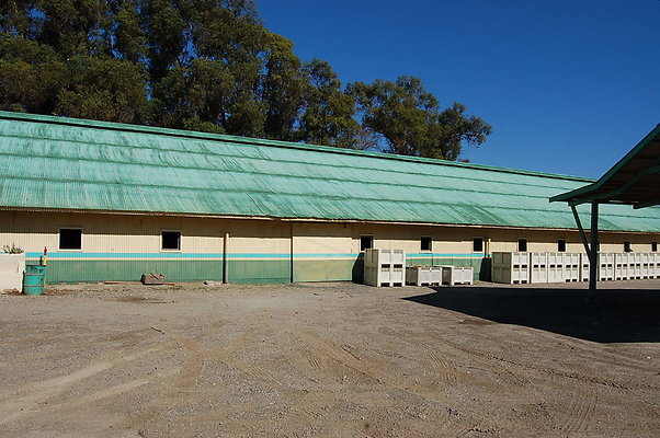 DSC 0024