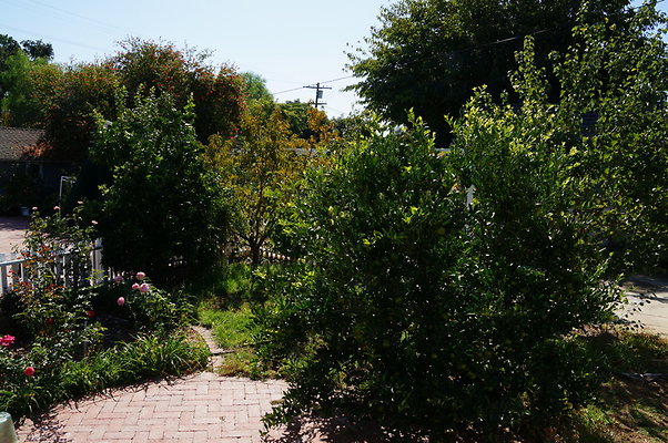 Deng.6624.Langdon.Van.Nuys63