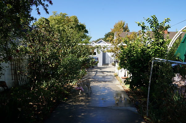 Deng.6624.Langdon.Van.Nuys70