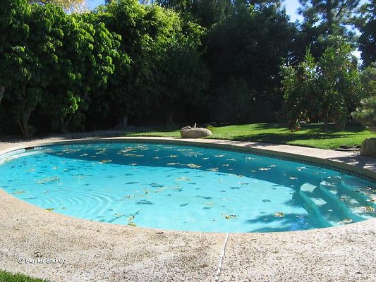 meyler 1290 061 meyler 1290 061