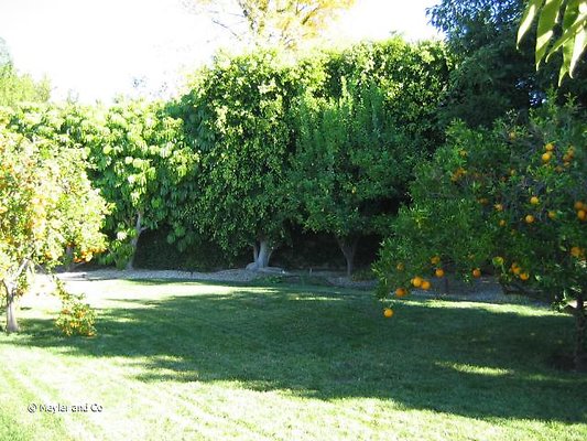 meyler 1290 068 meyler 1290 068