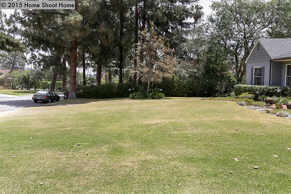 59front-lawn-side-view