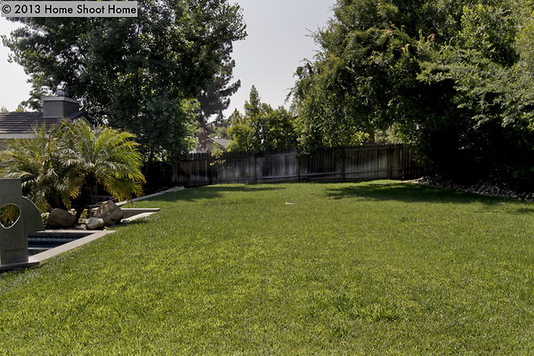 40backyard-side-view 40backyard-side-view
