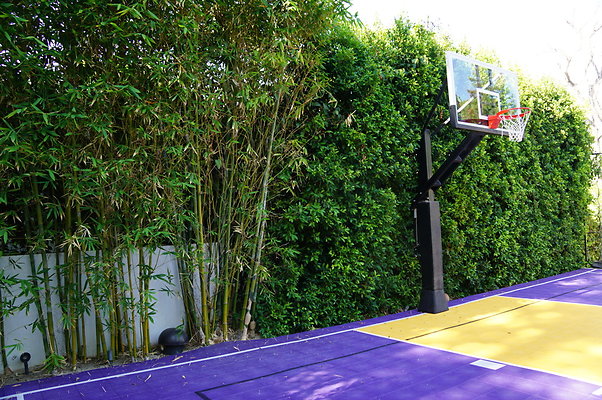S2S.Pool.BB.Court.1812.EN.66