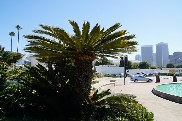 Fountain.SM.At.Wilshire.BH16