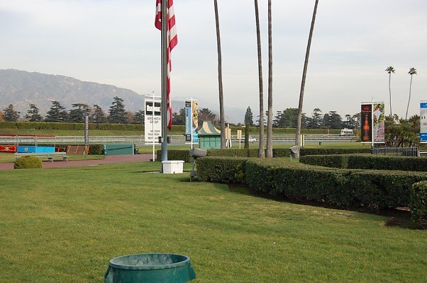 DSC 0339