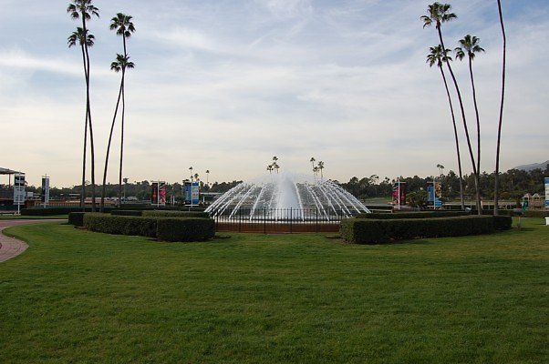 DSC 0322
