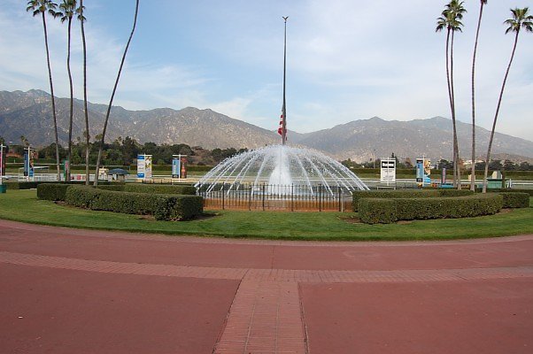 DSC 0332
