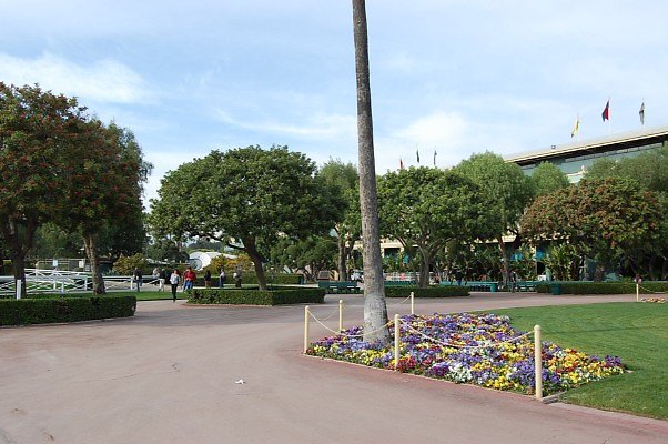 DSC 0278