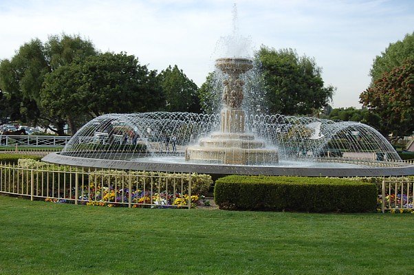 DSC 0291
