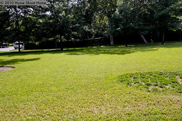 67front-lawn-side-view-reverse