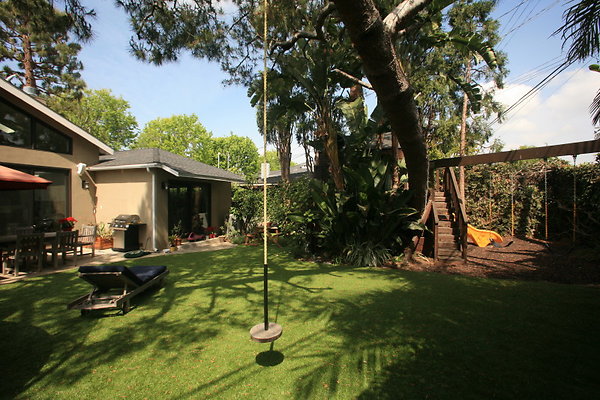 Backyard Tree Swing 0082 1