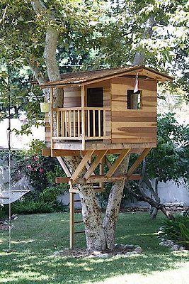 4553 treehouse