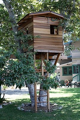4553 treehouse2