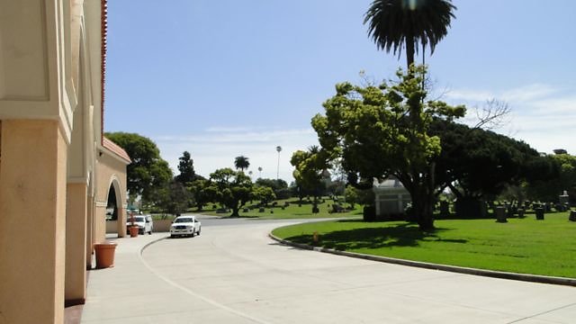DSC07383