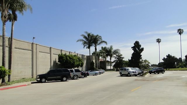 DSC07346