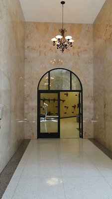DSC07354