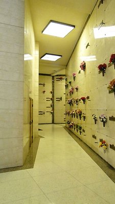 DSC07357