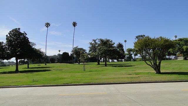 DSC07341