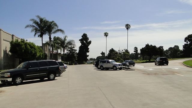 DSC07343