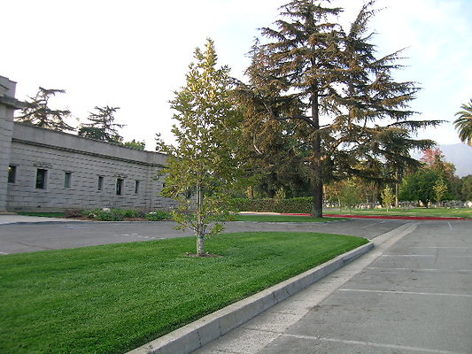DSCN2200