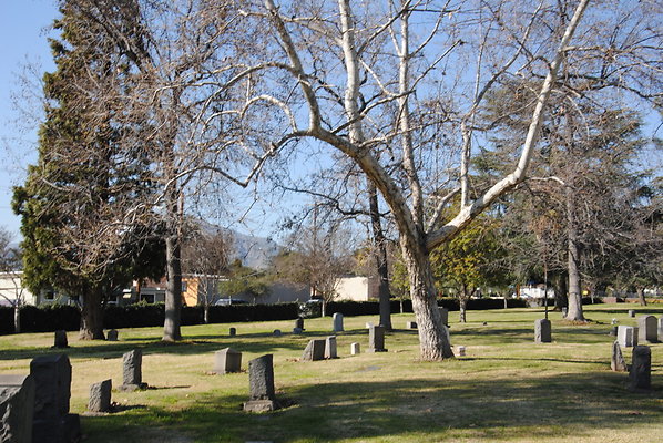 DSC 0532