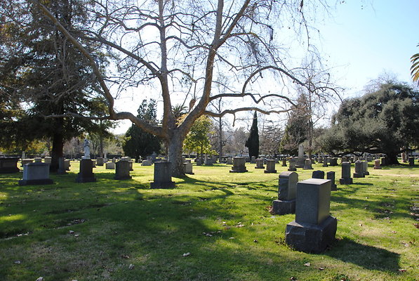 DSC 0507