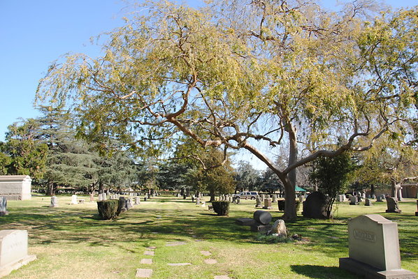 DSC 0464