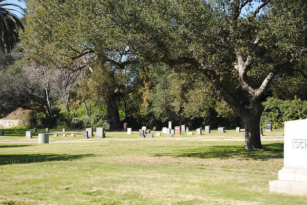 DSC 0391