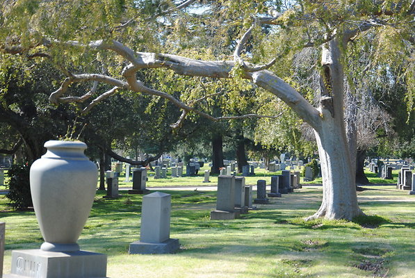 DSC 0424