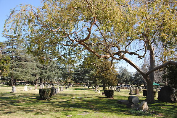 DSC 0465